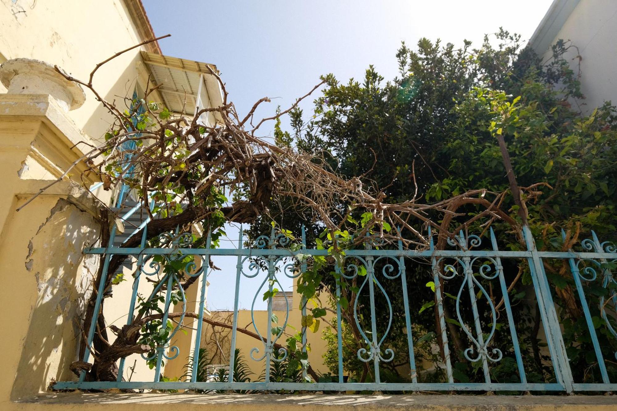 Archontiko Pataka Apartment Rhodes City Exterior foto